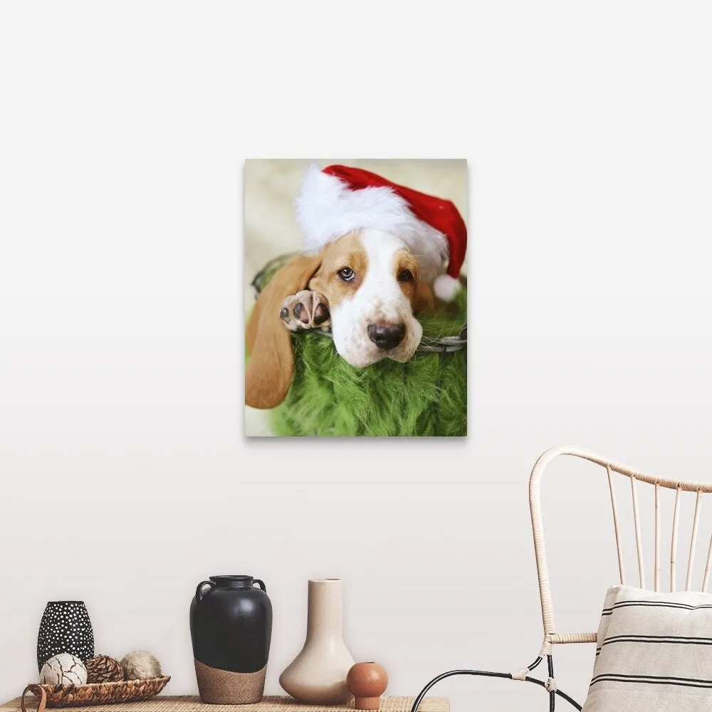 "Basset Hound wearing a Santa hat" Canvas Wall Art